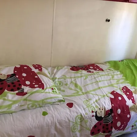 Кемпинг Parc Des Oliviers