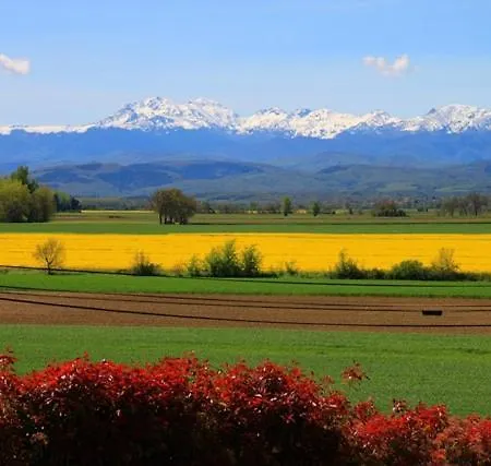 Кемпинг Parc Des Oliviers