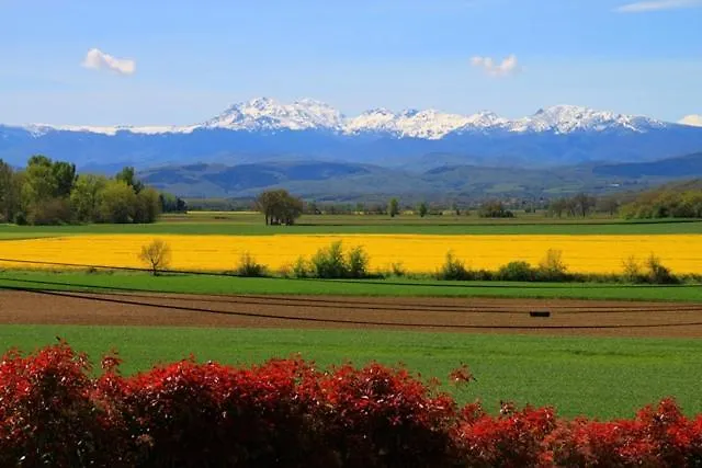 Kemping Parc Des Oliviers